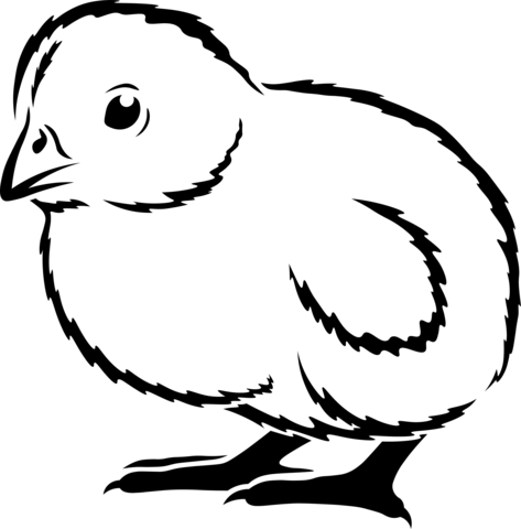 Baby Chicken Coloring Page